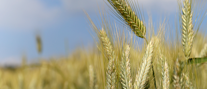 肥料和作物保护产品