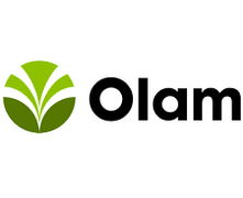 Olam Olam